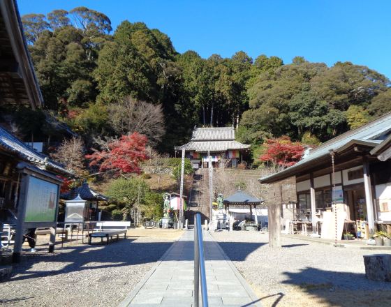 阿南市 自由行套票