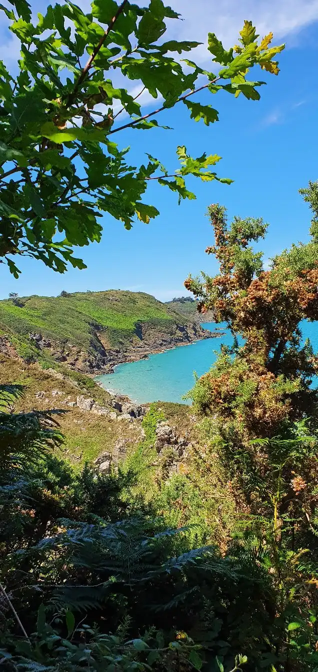 Hôtels à proximité de : Plage du Palus