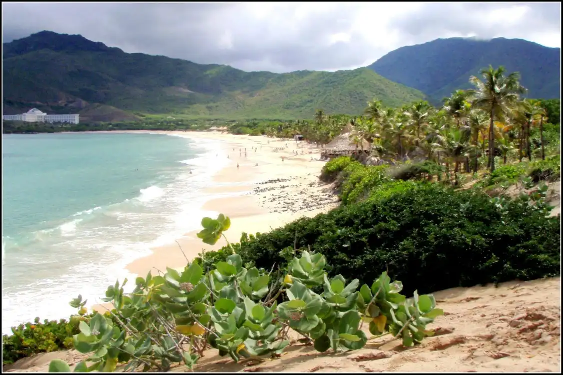 Hotels near Playa Puerto Cruz