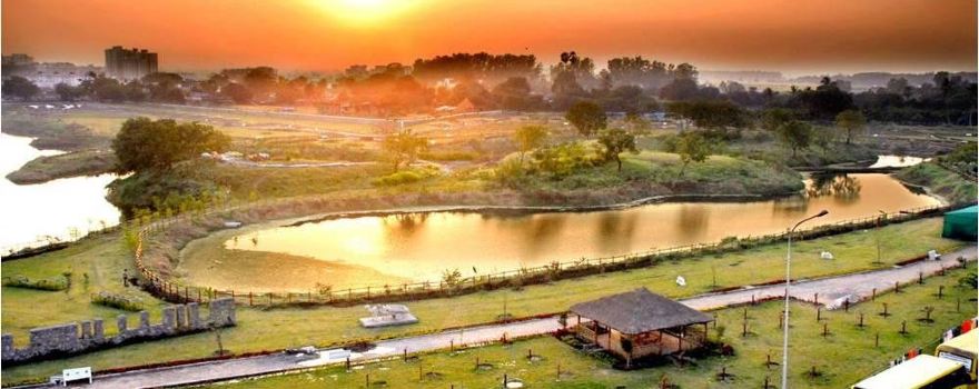 Surat