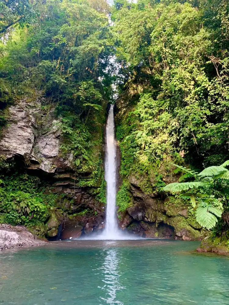 Catarman