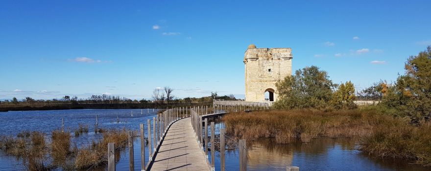 Tour Carbonniere