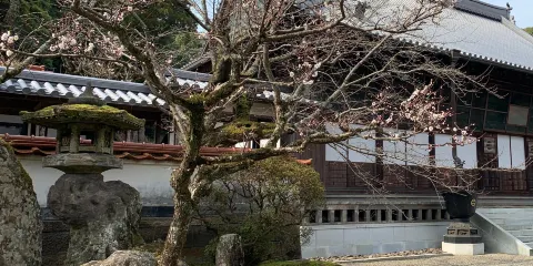 萬明山円通寺