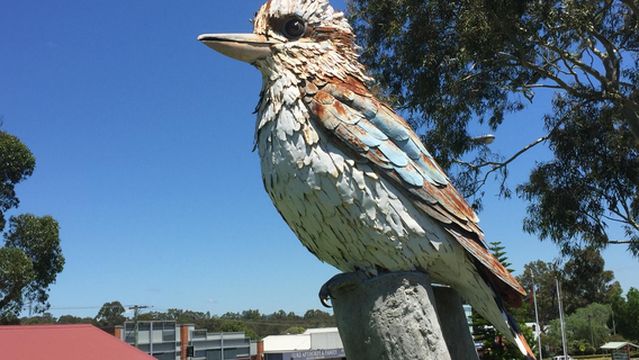The Big Kookaburra