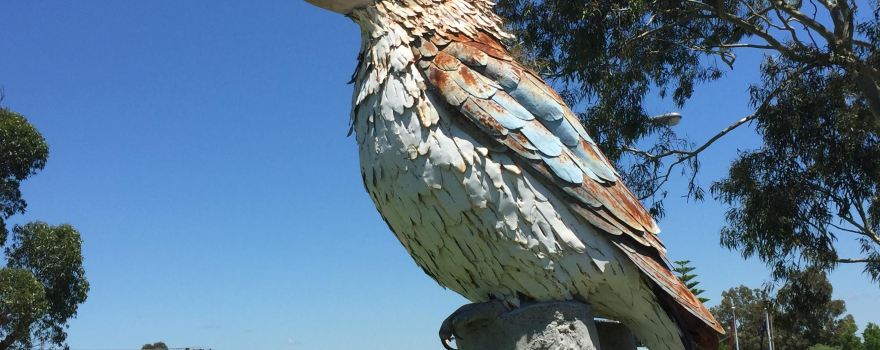 Big Kookaburra