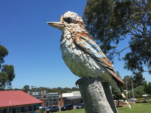The Big Kookaburra