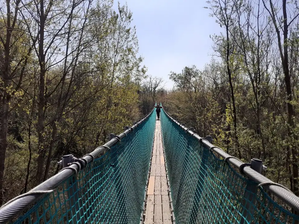 3_Ponte Tibetano