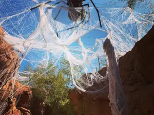 Red Hills Desert Garden