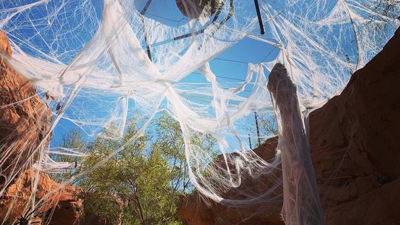 Red Hills Desert Garden