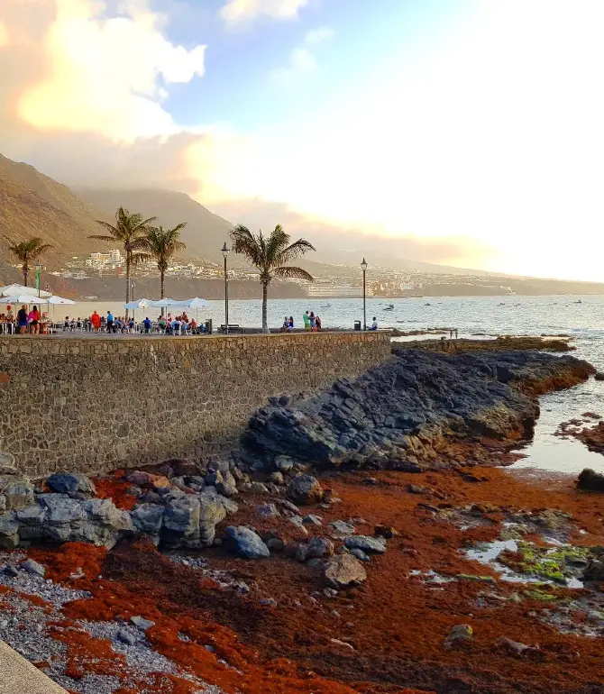 Punta del Hidalgo