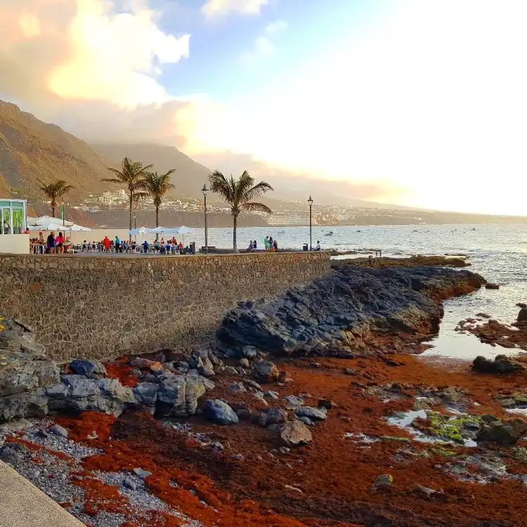 Hotels in Punta del Hidalgo