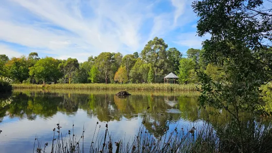 St Georges Lake Rd