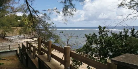 Robert Edward Hart Memorial Museum