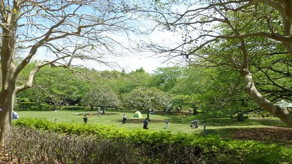 Obajoshi Park