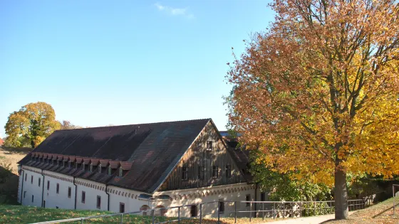 Festung Rüsselsheim