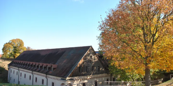 Festung Rüsselsheim