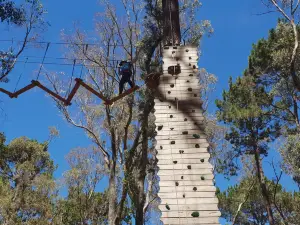 Forest Adventures
