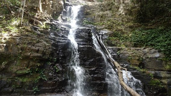 Macquarie Pass National Park