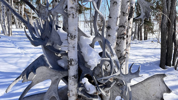 Tugáh Northern Experiences