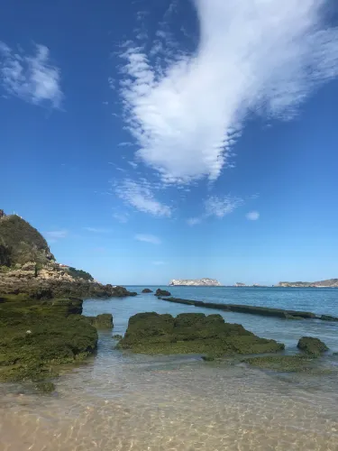 Suances