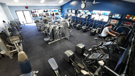 Wildcat Fitness & Fun