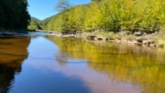 Monongahela National Forest