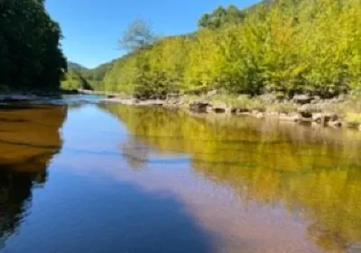 Monongahela National Forest