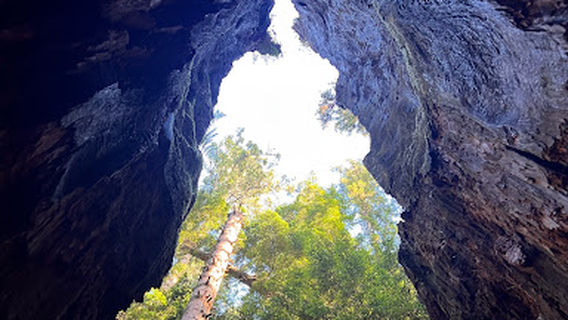 Redwood Park