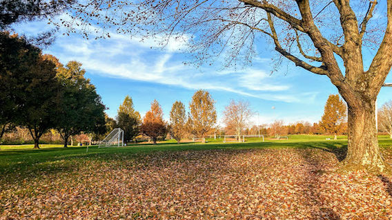 Phillips Park