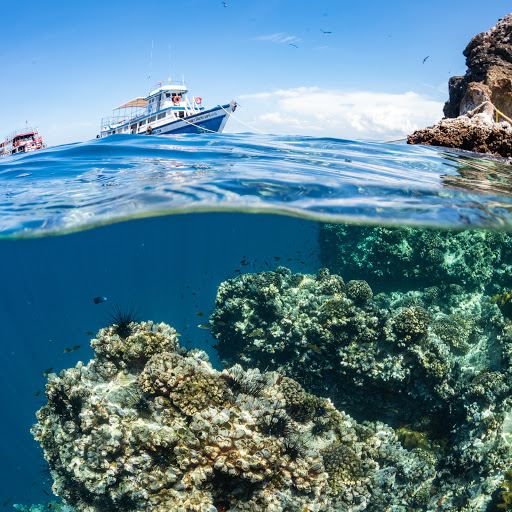 Nitro Dive Center - Koh Tao