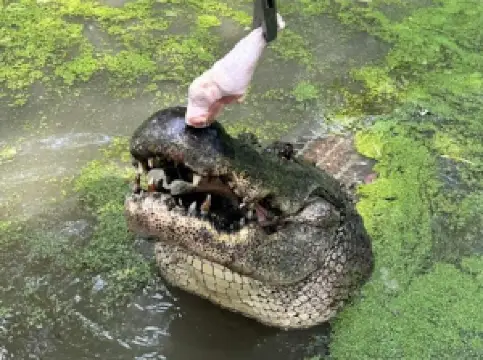 Canton Grand Safari Adventure