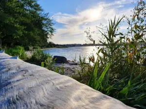Svendborg Sund Camping