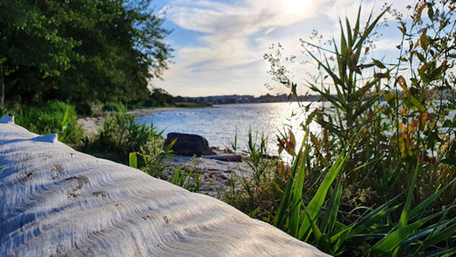 Svendborg Sund Camping