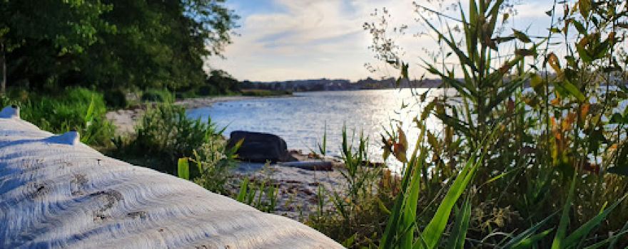 Svendborg Sund Camping