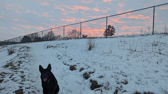 Chippewa Falls Happy Tails Dog Park