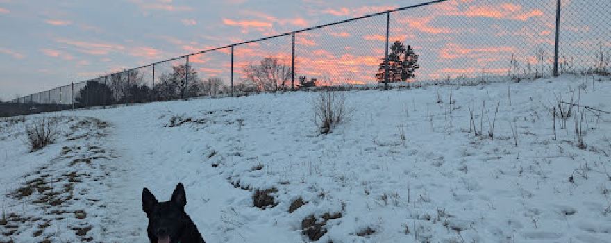 Chippewa Falls Happy Tails Dog Park