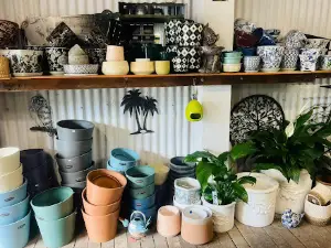 Sauers Produce & Garden Centre