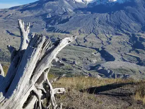 Longview North / Mount St Helens KOA Journey