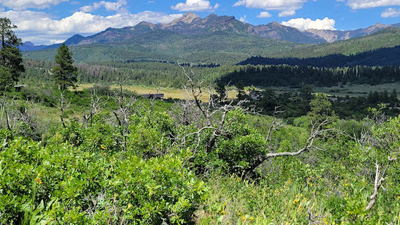 Coyote Hill Trailhead