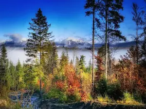 Skyta Raftynh, Raftynh Tury Na Cheremoshi Y Pruti