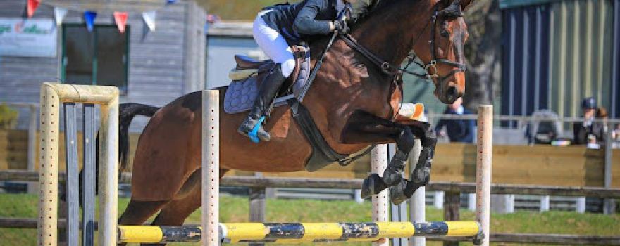 Beacons Equestrian