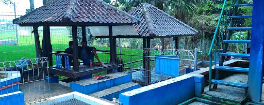 Swimming Pool Owacis Ciserang