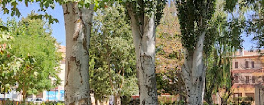 Municipal Adolfo Suárez Park