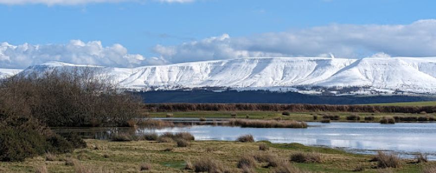 Brechfa Pool Nature Reserve