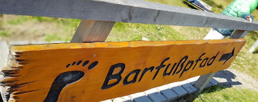 Barfusspfad Muggenbrunn