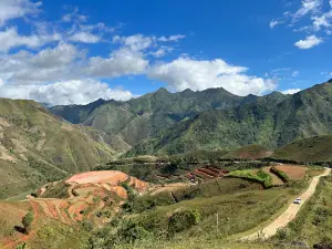 Mỏm Cá Heo