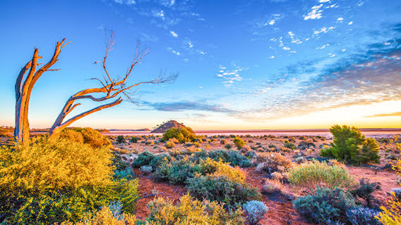 Lake Ballard Campground