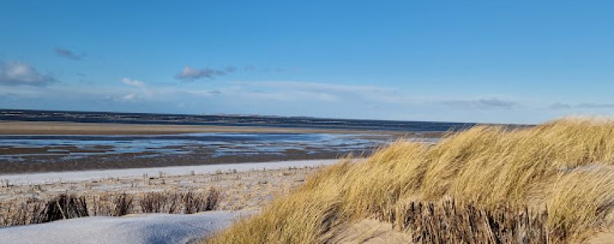 Nordspitze Amrum auf der Insel Amrum im Kreis Südtondern
