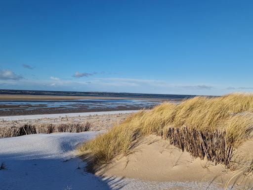 Nordspitze Amrum auf der Insel Amrum im Kreis Südtondern
