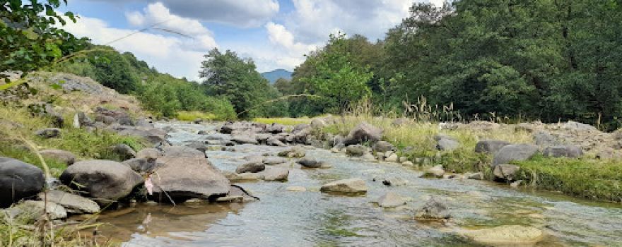 Cavnic River